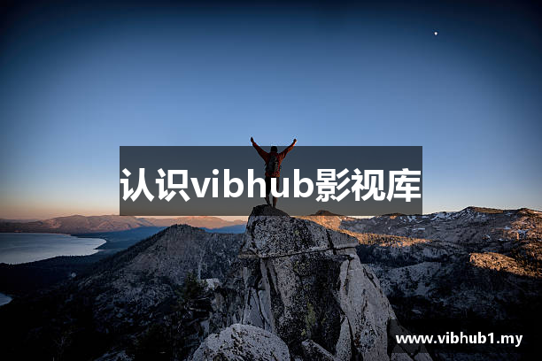 认识vibhub影视库